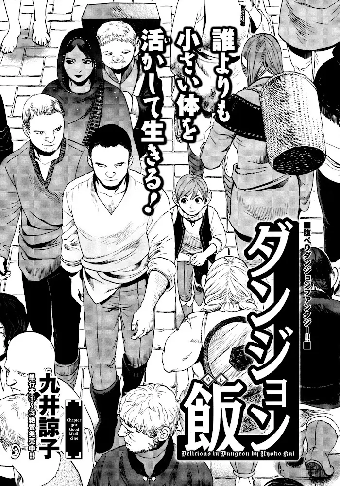 Delicious in Dungeon Chapter 30 image 01_optimized
